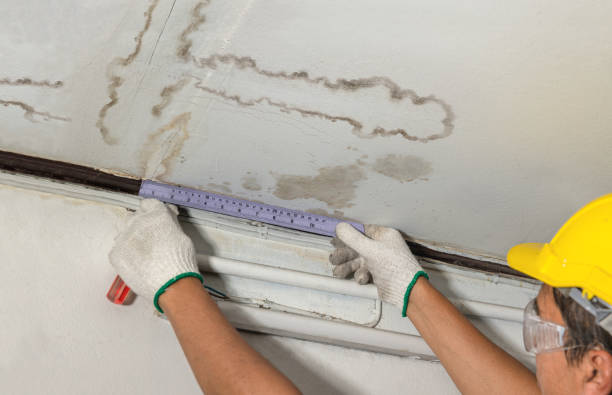 Affordable Water Damage Repair solutions in Poca, WV